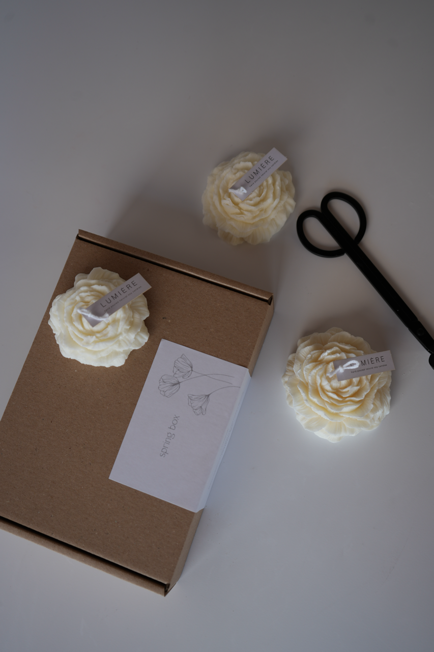 Darilni paket Spring box