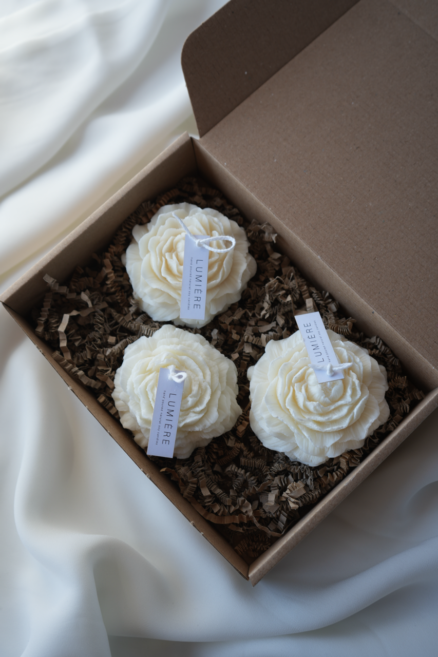 Darilni paket Spring box