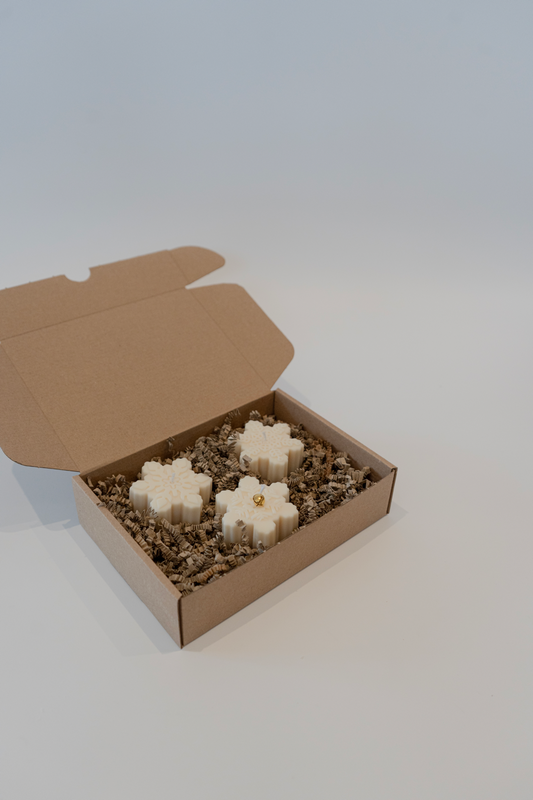 Darilni paket Snowflake