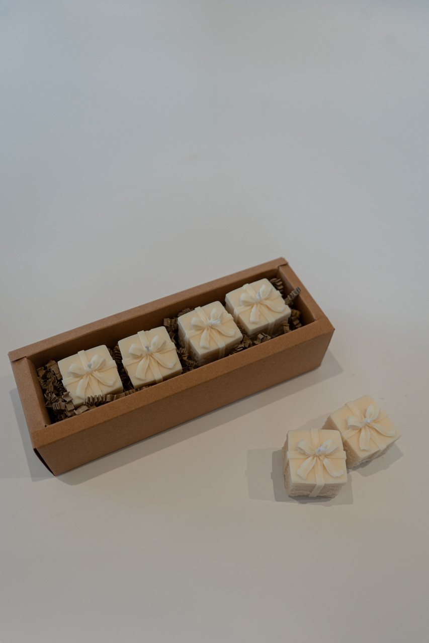 Darilni paket present