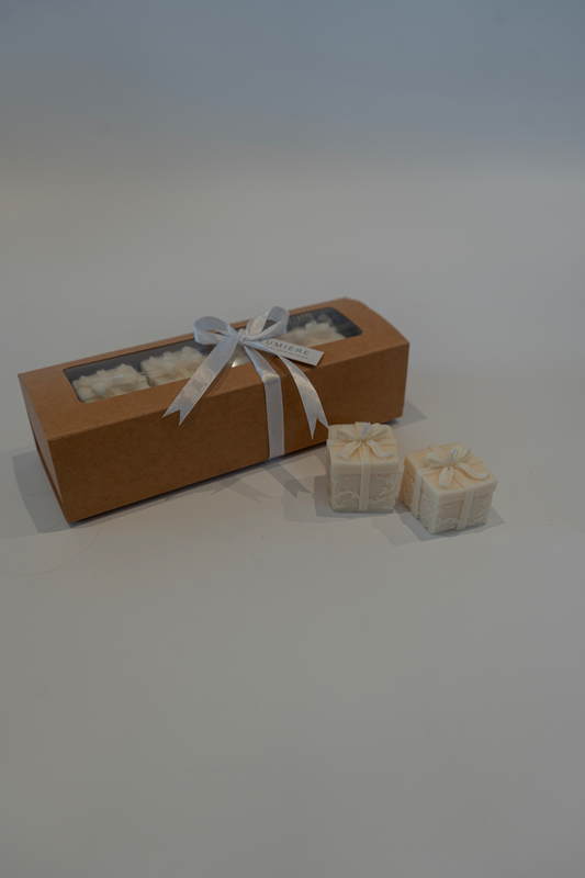 Darilni paket present