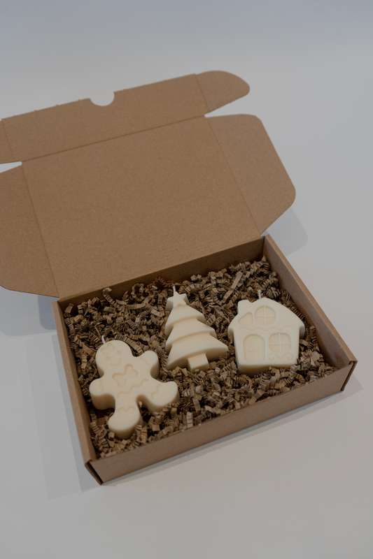 Darilni paket Blitzen